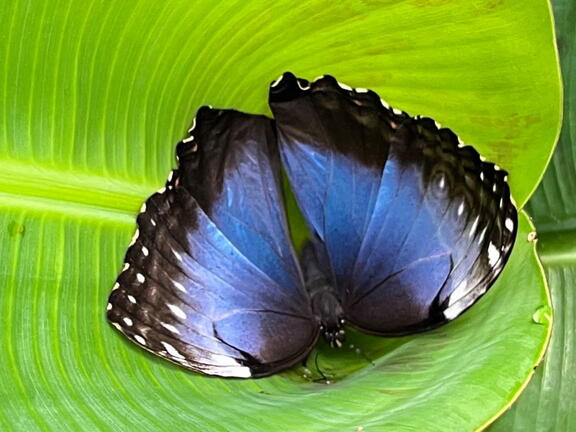 23-09-09 10-59-59 6502